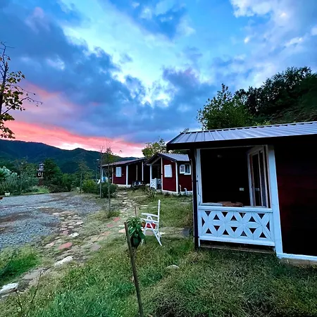 Feriegård Baven -toven Naturae