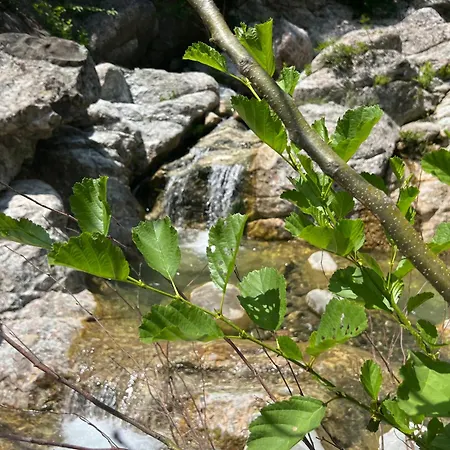 Baven -toven Naturae