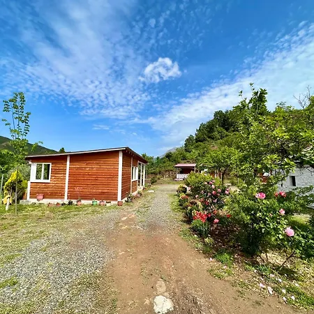 Feriegård Baven -toven Naturae