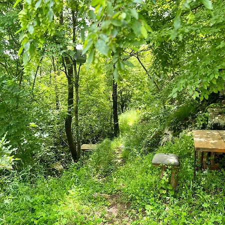 Baven -toven Naturae *