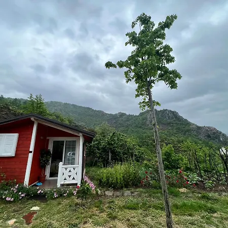 Baven -toven Naturae Farm stay *
