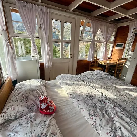 Baven -toven Naturae