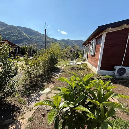 Baven -toven Naturae Rubik