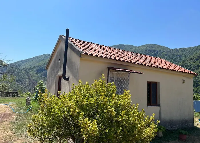 Baven -toven Naturae Rubik