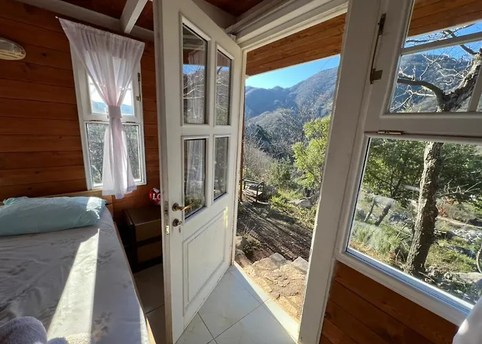 Baven -toven Naturae