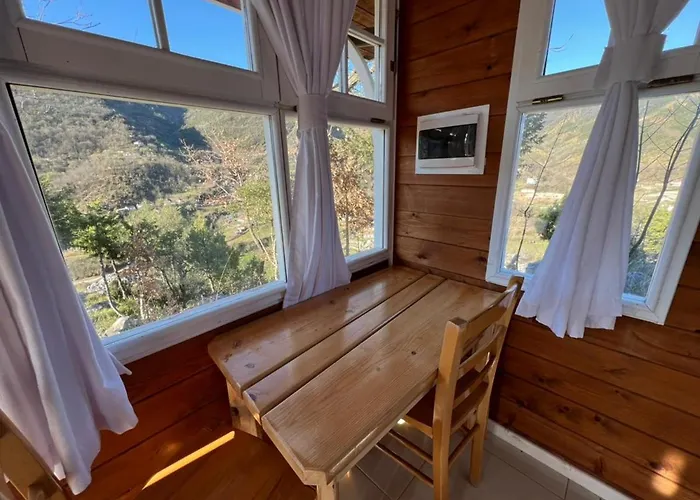 Baven -toven Naturae *