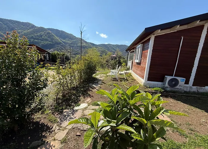 Baven -toven Naturae Rubik
